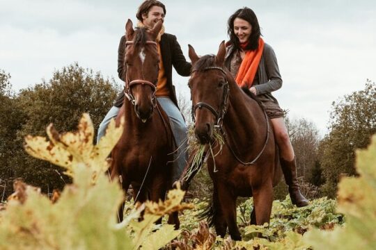 Horseback Ride and Wine Tasting from Florence