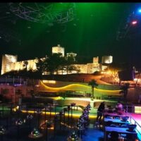Night Tours