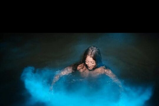Luminous Lagoon Night Tour