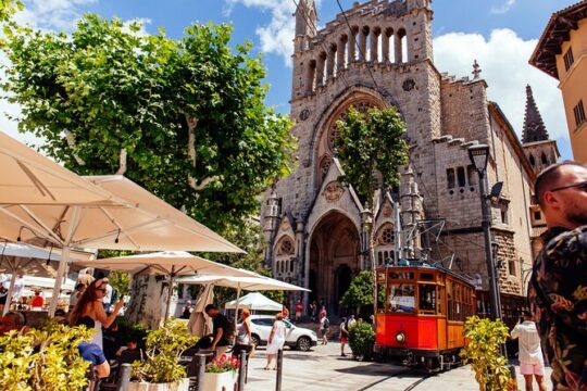 Majorca Tour by Train, Tram, Boat and Bus with a Polish Guide