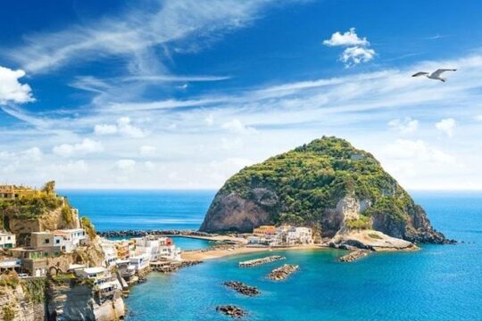 Ischia & Procida Private Boat Tour