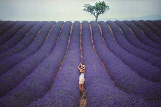 Half Day L’Occitane and Lavender Fields Tour from Aix en Provence