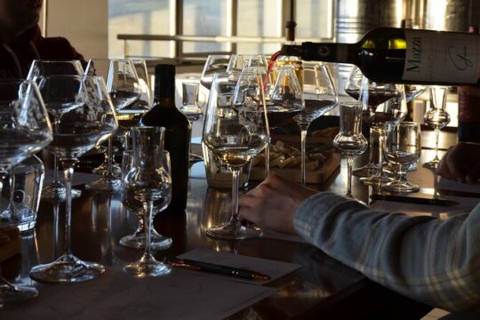 Winery tour and tasting in the Chianti hills