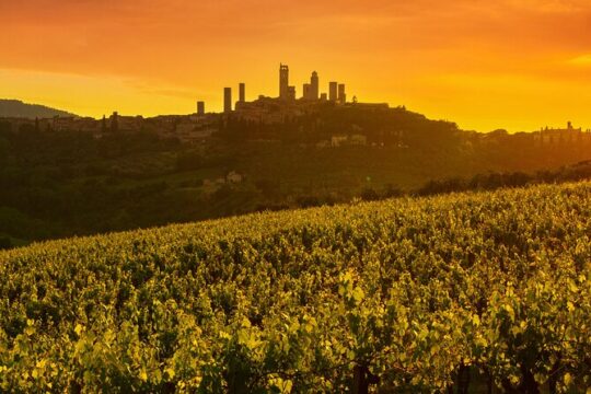 From Livorno San Gimignano Volterra and Wine Tasting