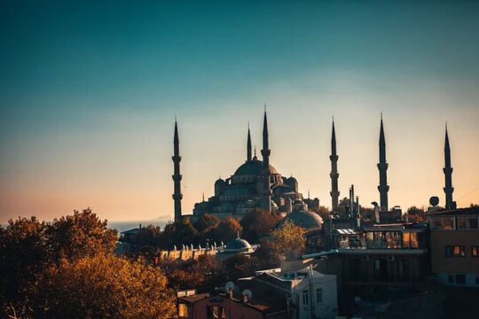 Discover Istanbul Walking Tour in Spanish