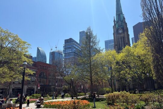 Casual Tour of Toronto by Land, Sky and Sea