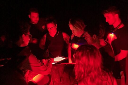 Discover Bioluminescence in Kayak with a Guide