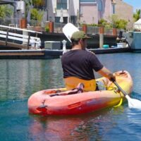 Boat Rentals