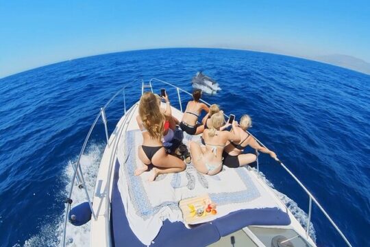 Sunseeker Yacht Rental in Fuengirola