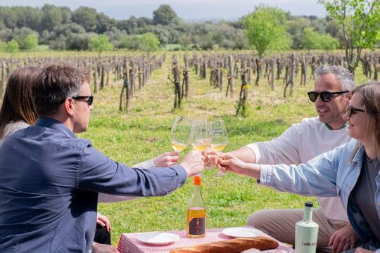 l'Empordà Vineyard and Wine Picnic