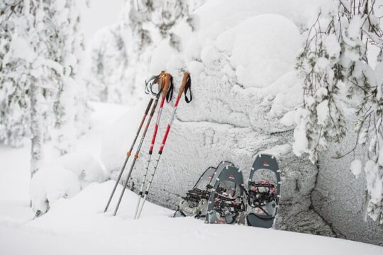 Arctic Snowshoeing Adventure