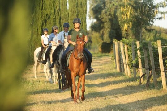 Horseback Ride and Wine Tasting Adventure