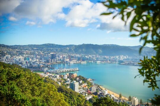Wellington Private Half Day Tour