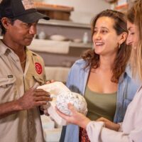 Cultural & Theme Tours