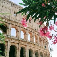 Hop-on Hop-off Tours