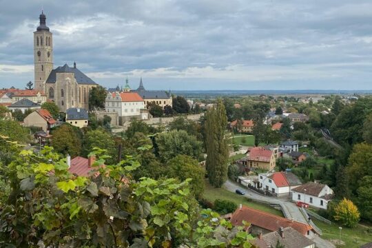 Kutná Hora, Sedlec Ossuary and Znojmo: Full-Day Tour from Vienna