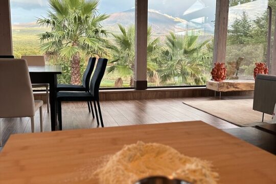 Bronte Private Cooking Class Adventure with Etna view