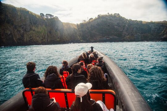 The Wild North Coast Tour