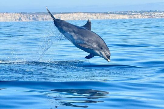 Shared Speedboat Trip to Portimao