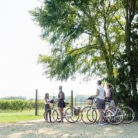 Bike & Mountain Bike Tours