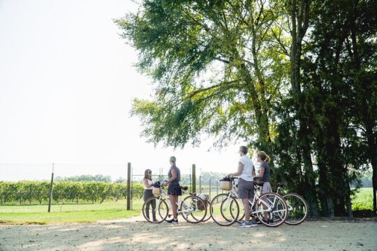 Signature Ride at Upper Shirley Vineyards - 3 hours