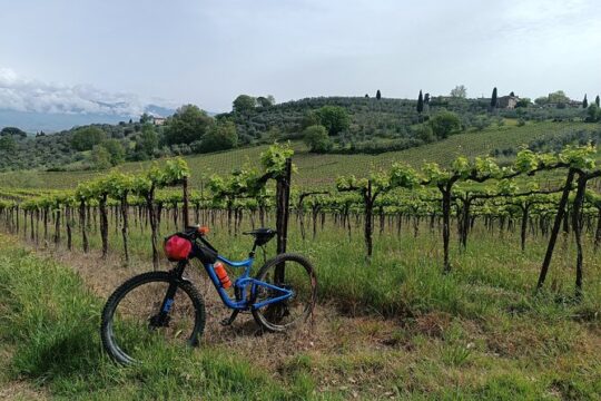 Mountain biking in the Tuscan Hills