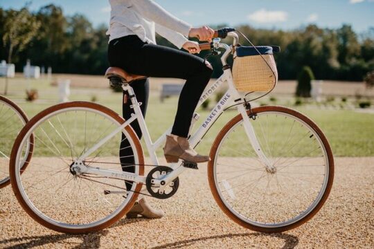Bike Rentals