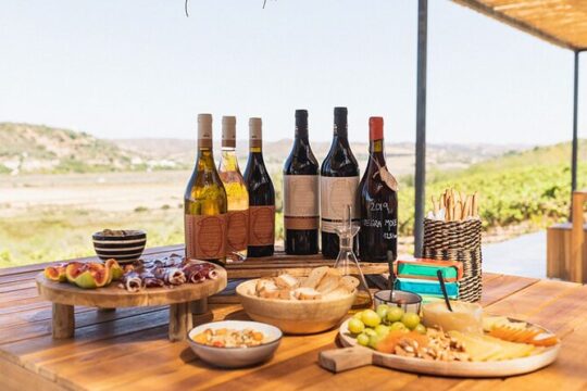 Private Boat to Vineyard with Wine Tasting