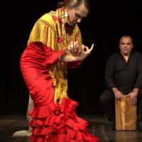 Classes & Workshops