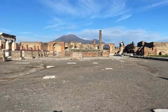 Private Pompeii Tour from Naples