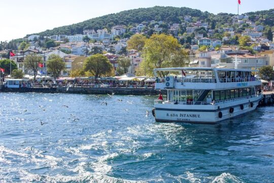 Princes' Islands Tour from Istanbul Lunch Included
