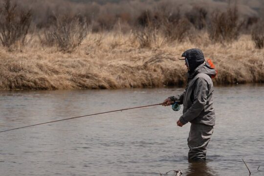Full Day Guided Private Walk Wade Fly Fishing at Jackson Hole