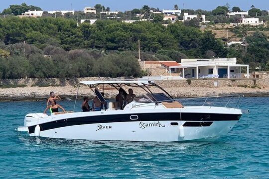 Luxury rental in S. M. of Leuca