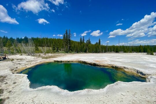 Half Day Private in Yellowstone Geyser Basin Tour