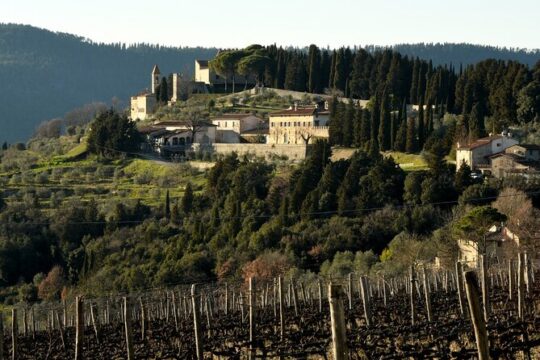 Frescobaldi Wine Lovers' Experience