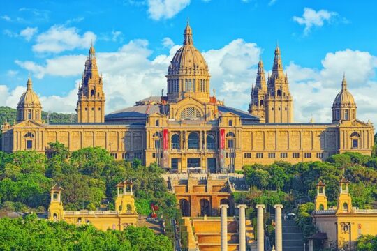 Museu Nacional d’Art de Catalunya Entry Ticket