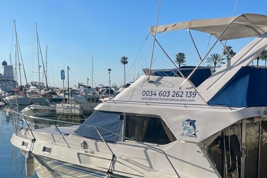 Dolphins and Sea Boat Adventure in Manilva Coast