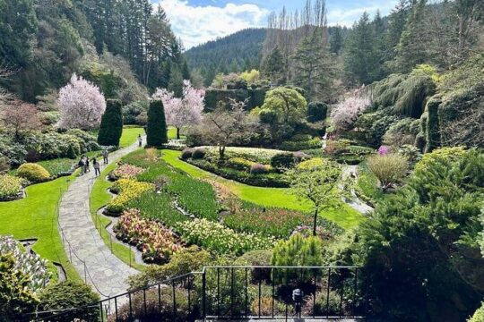 1 to 6 Pax Butchart Gardens and Victoria Private Tour Experience