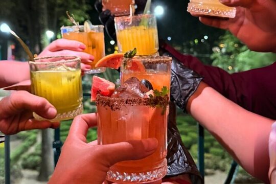 Mexican Mixology Workshop with Panoramic View in Coyoacán