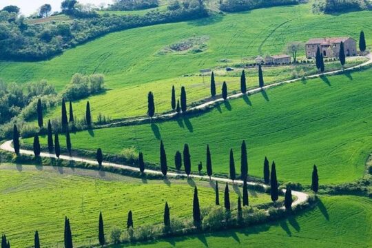 Chianti Hills Tour:Discovering Tuscany's Wine Heart from Florence