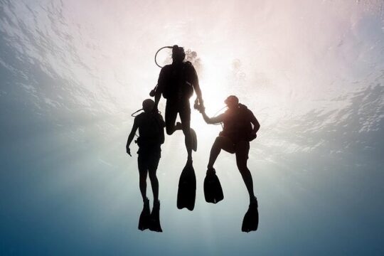 Private Introductory Scuba Diving For Beginners