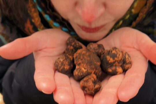 Truffle hunting with tasting in the woods