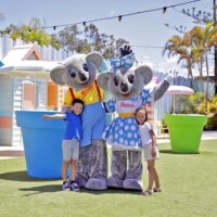 Theme Parks