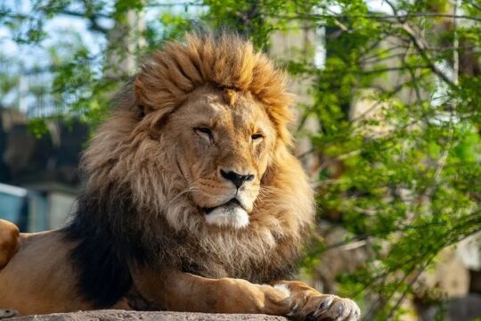 Gdansk: Oliwa Zoo with Private Transport and Tickets
