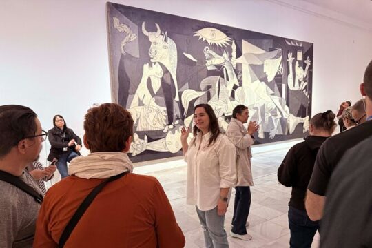 Reina Sofia Small Group Tour