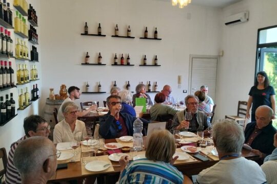 Primitivo tasting of Manduria PDO and visit of the winery