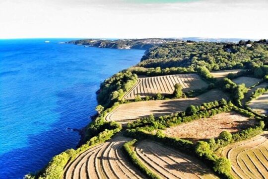 South Devon Adventure Walking Tour