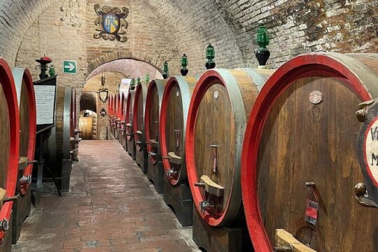 Val D’Orcia Tour From Siena Montalcino Pienza and Montepulciano