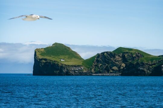 Vestmannaeyjar Private Day Tour Puffins and Hidden Gems
