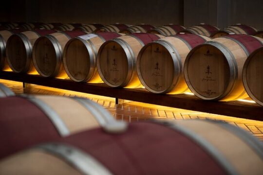 Premium Wine Tasting at Tenute Girolamo